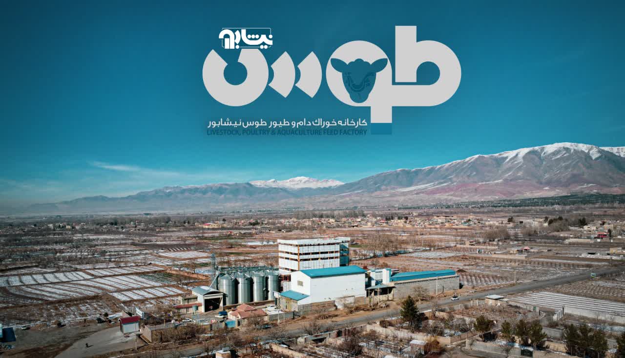 تصویر پس‌زمینه